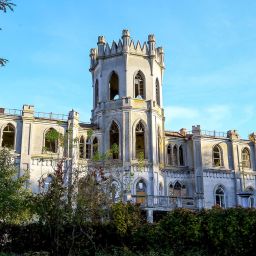 палац Терещенка, селищі Червоне, Цукрові землі, маєток, цукор, Україна, Історія